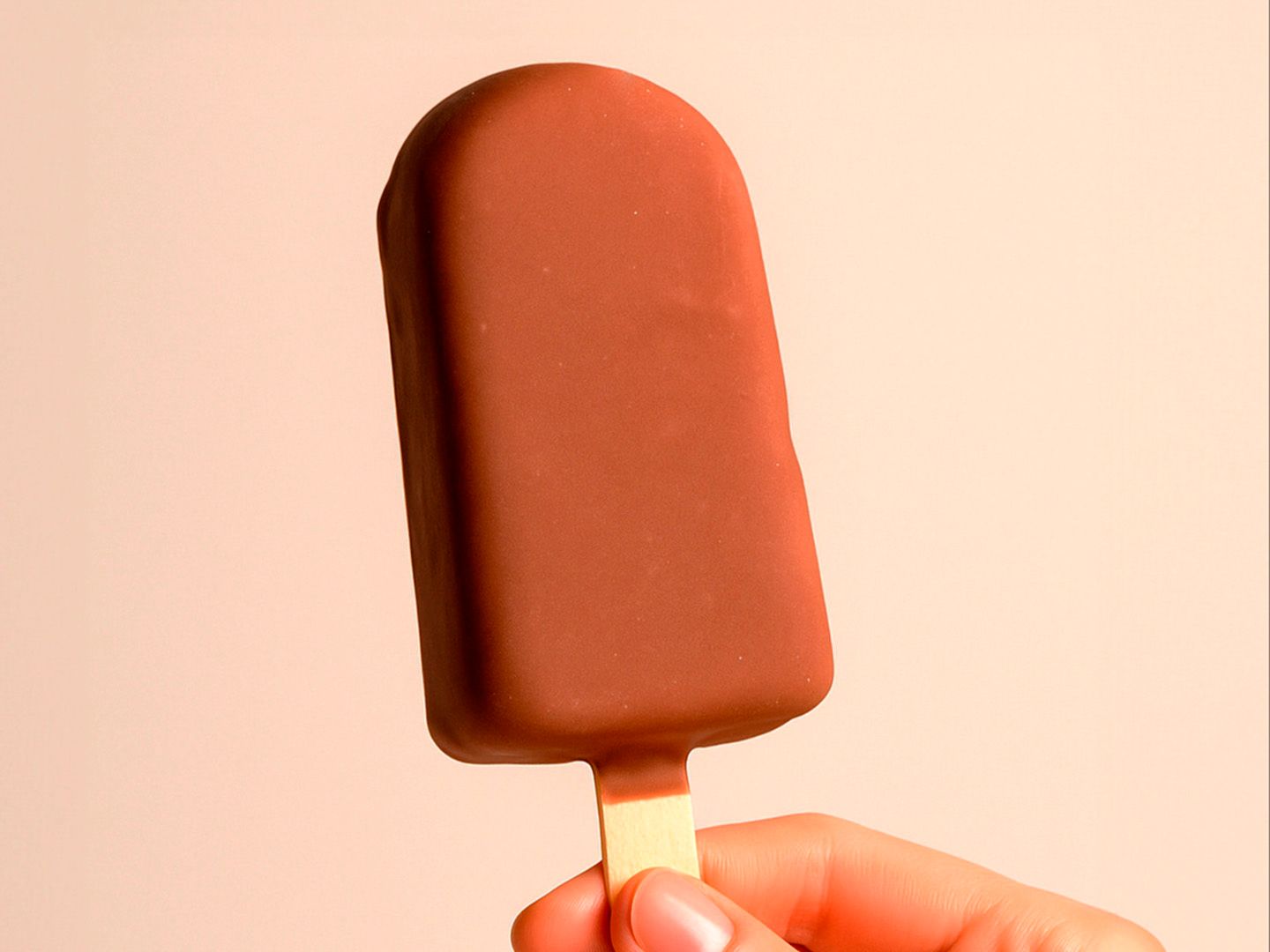 Paleta Americana Bañada
