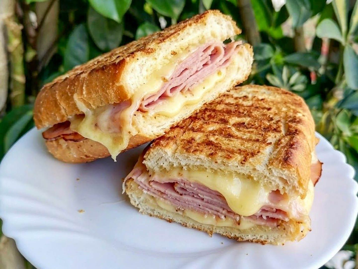 Tostado pan francés.