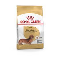 Royal Canin Dachshund Adulto 1.5 Kg