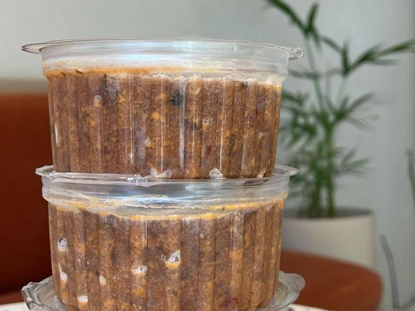 Salsa boloñesa frizada