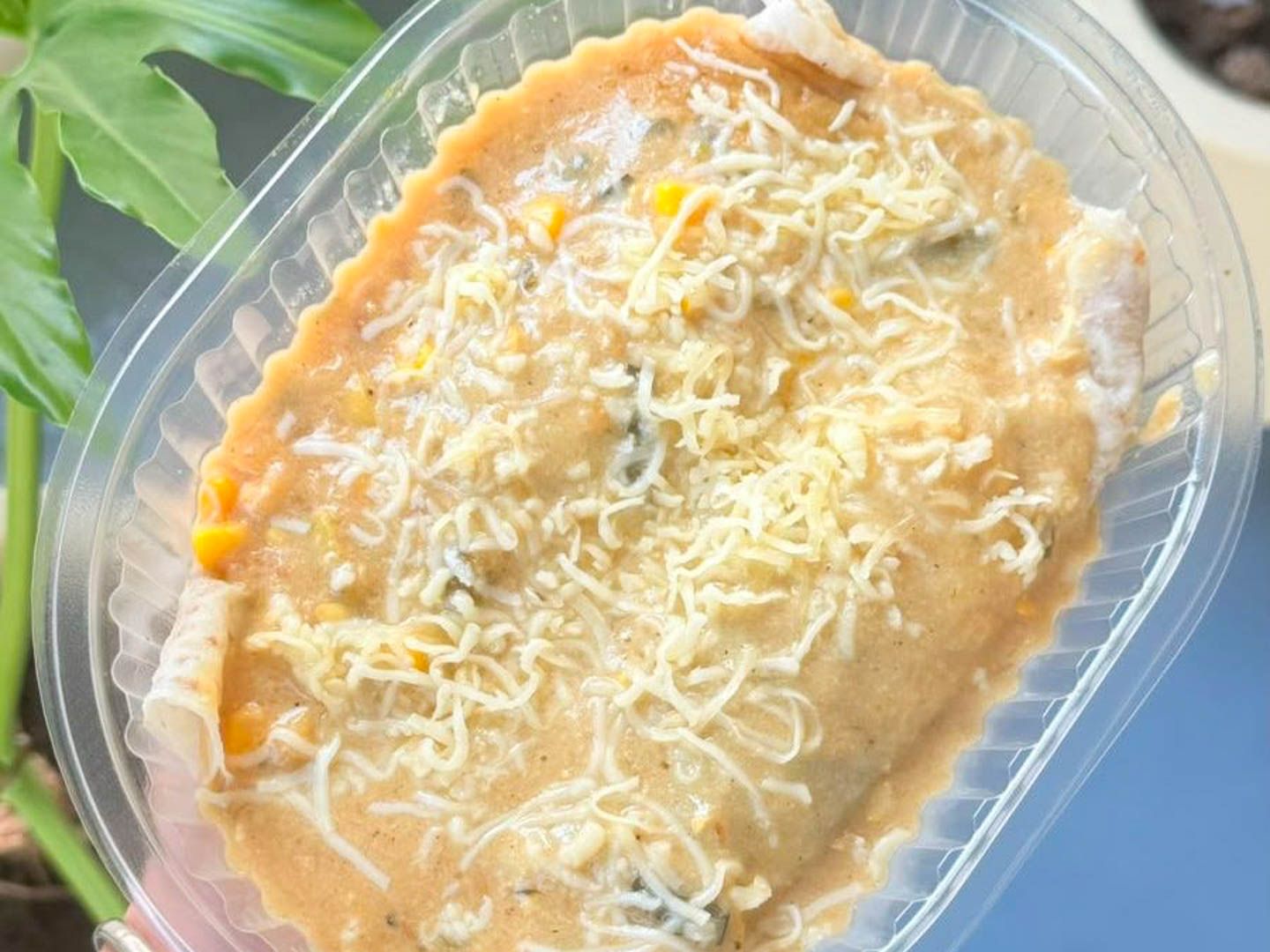 Canelones de verdura con salsa choclo-verdeo
