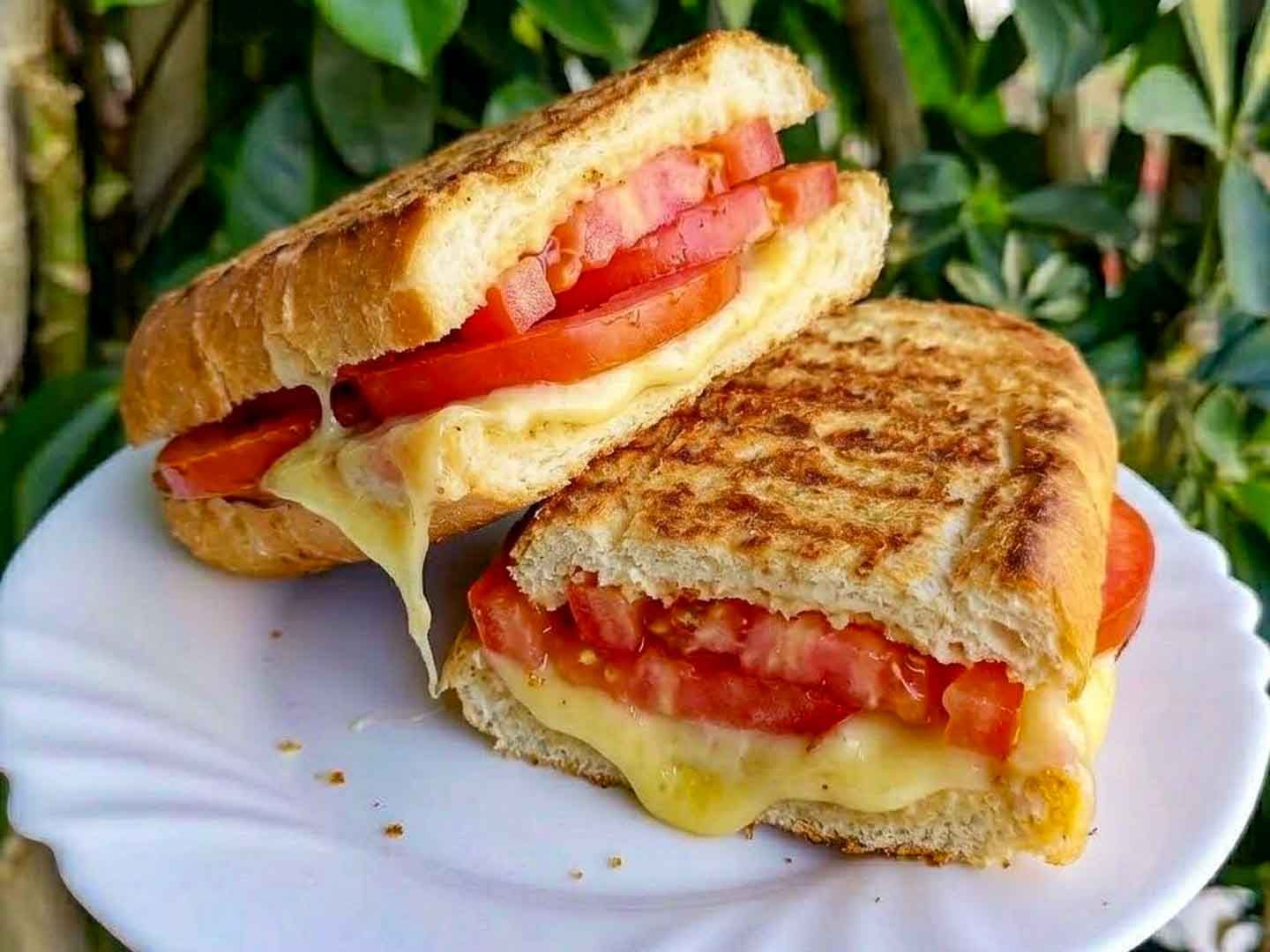 Tostado vegetariano pan francés.