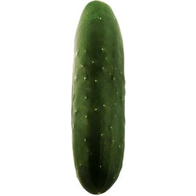 Pepino Ensalada Unidad