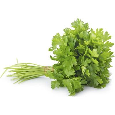 Cilantro Paquete