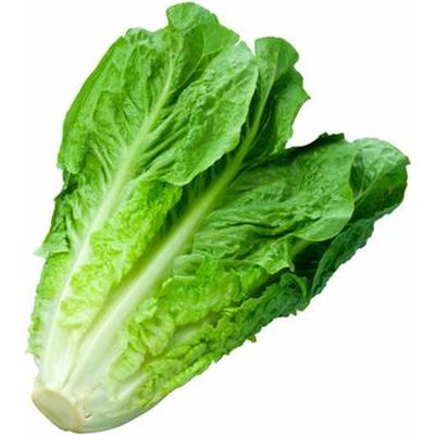 Lechuga Costina Unidad
