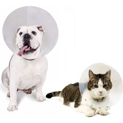 Marben Pets – Collar Isabelino de 12.5 Diámetro